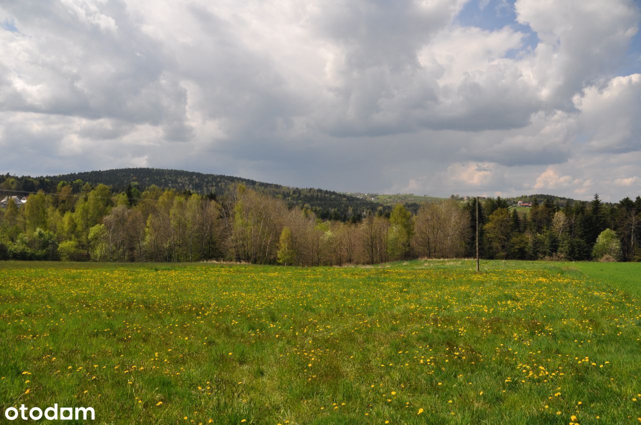 Grabie (gm. Łapanów) - budowlano-rolna