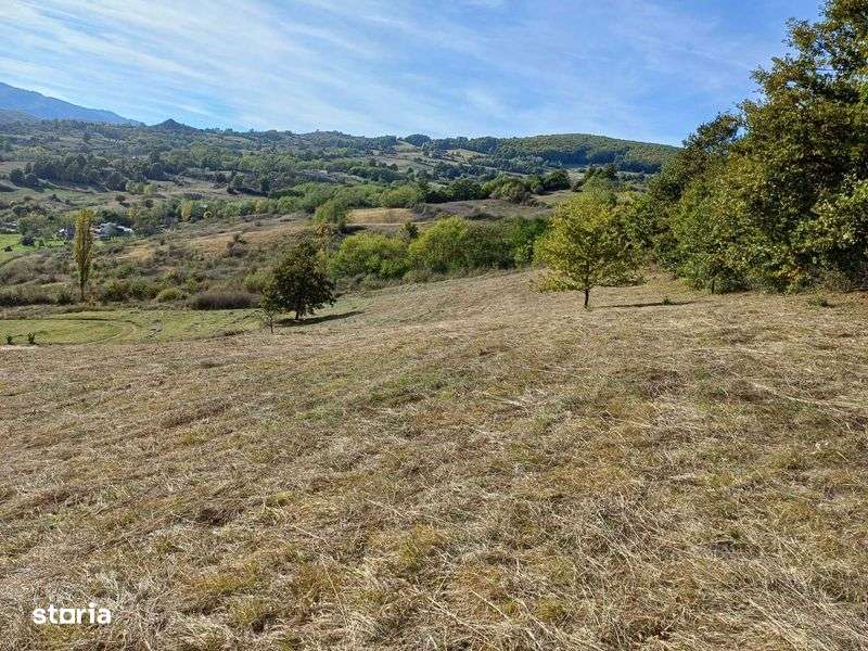 Vand teren cabana - Imagine principală: 4/8