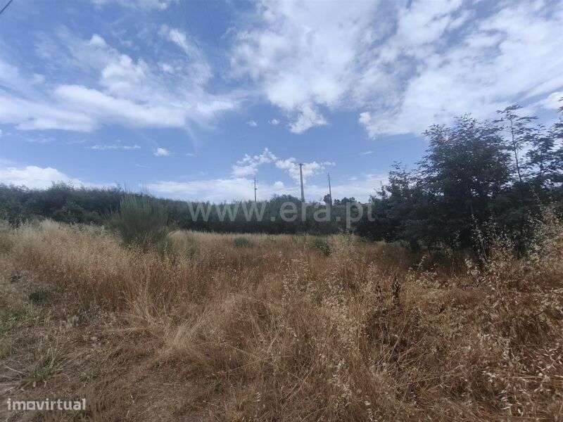 Terreno Rústico / Fundão, Silvares - Grande imagem: 3/5