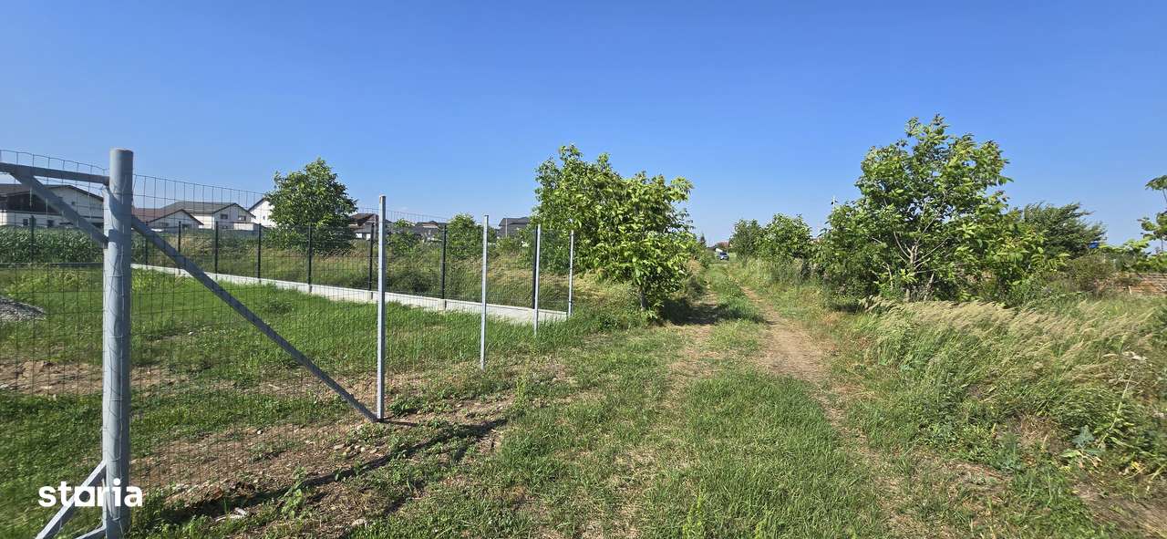 Teren intravilan Buftea, Crevedia, Manastirea, 500mp, 0%comision - Imagine principală: 4/20