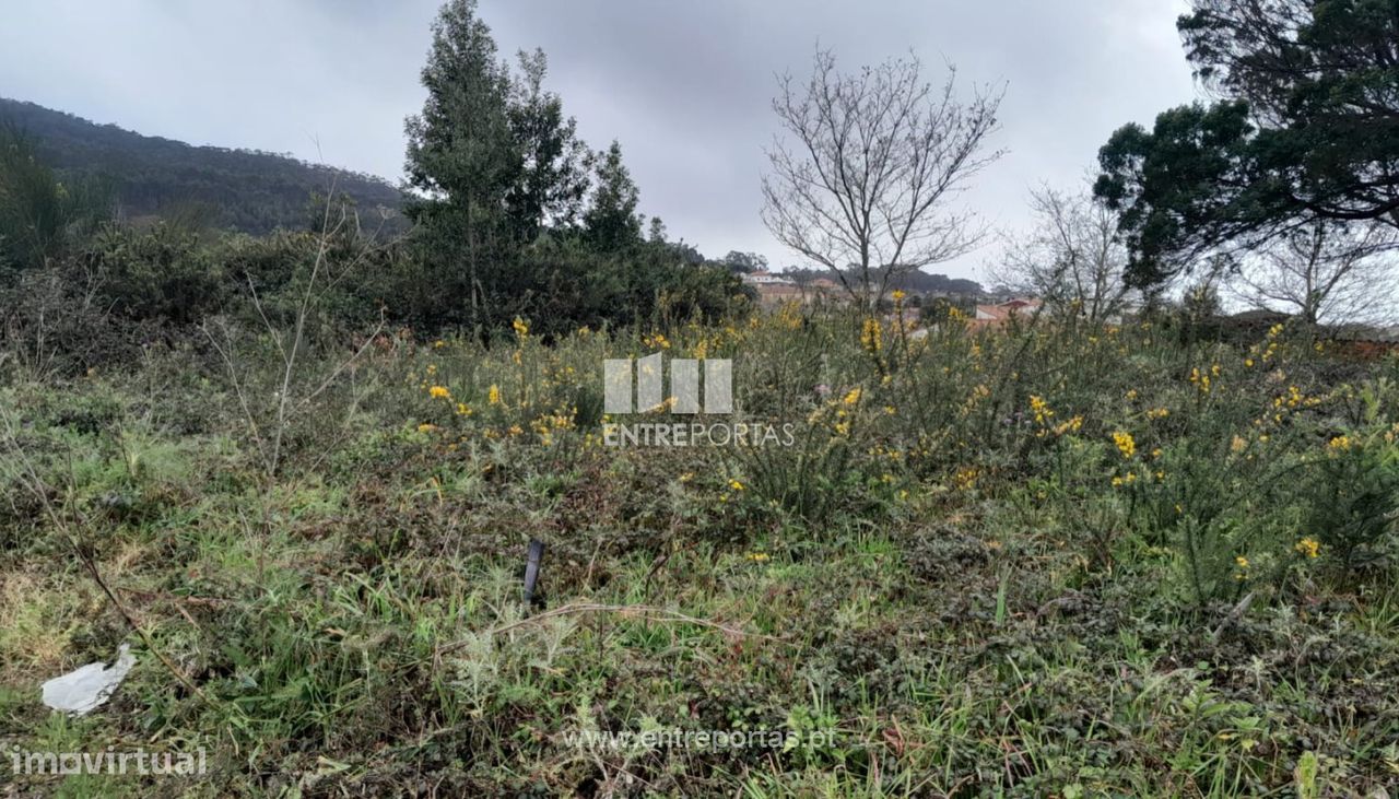 Venda de Lote para construção, Afife, Viana do Castelo