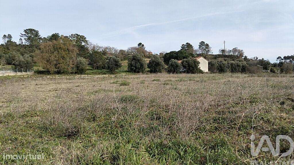 Terreno em Tomar (São João Baptista) e Santa Maria dos Olivais de 1308 - Grande imagem: 4/28