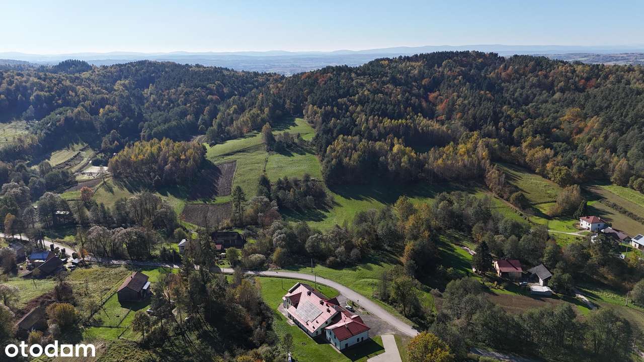 Pietrusza Wola – działka z WZ na 2 domy, media na działce-9