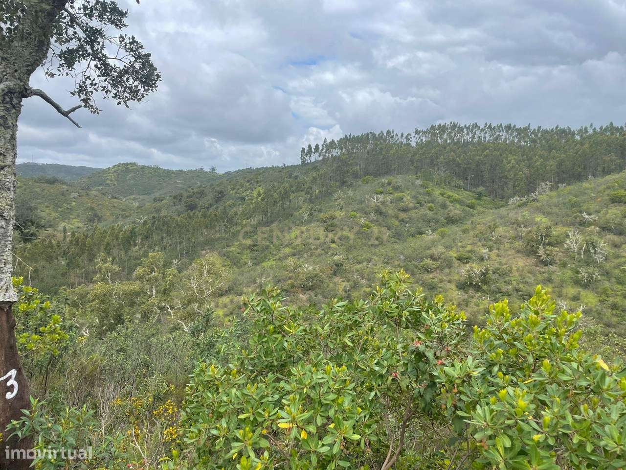 9 Terrenos Rústicos vendidos em conjunto - São Barnabé - Grande imagem: 5/10