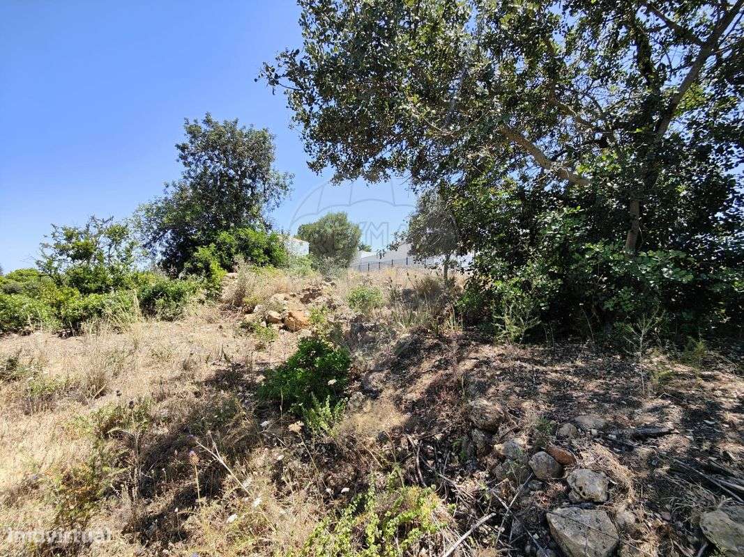 Terreno  para venda - Grande imagem: 3/15