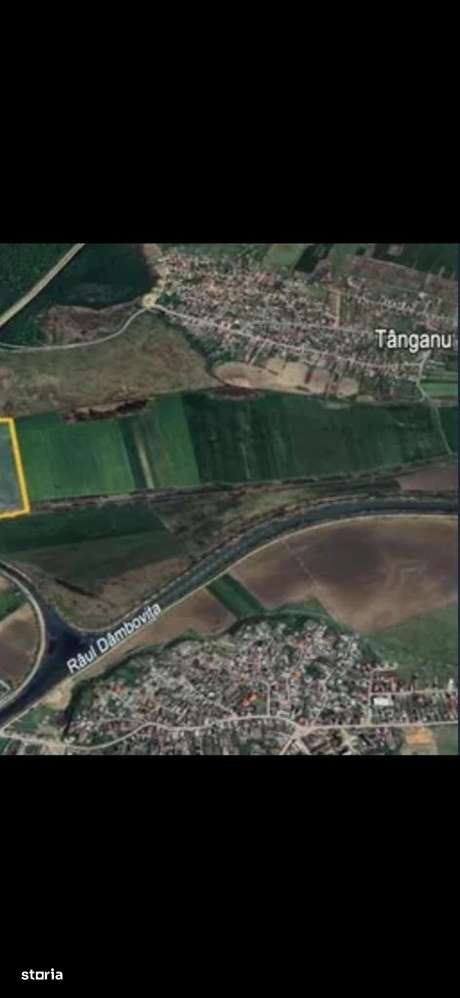 Teren intravilan 50000 mp, Tanganu (Cernica), A2, Ilfov - Imagine principală: 4/5