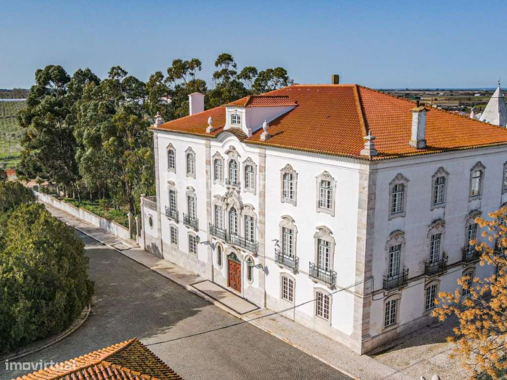 Quinta com cerca de 11 ha com magnífico Palácio - Grande imagem: 1/60