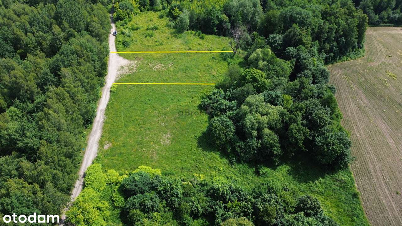 Działka pod Magazyn Produkcję Składowanie-1