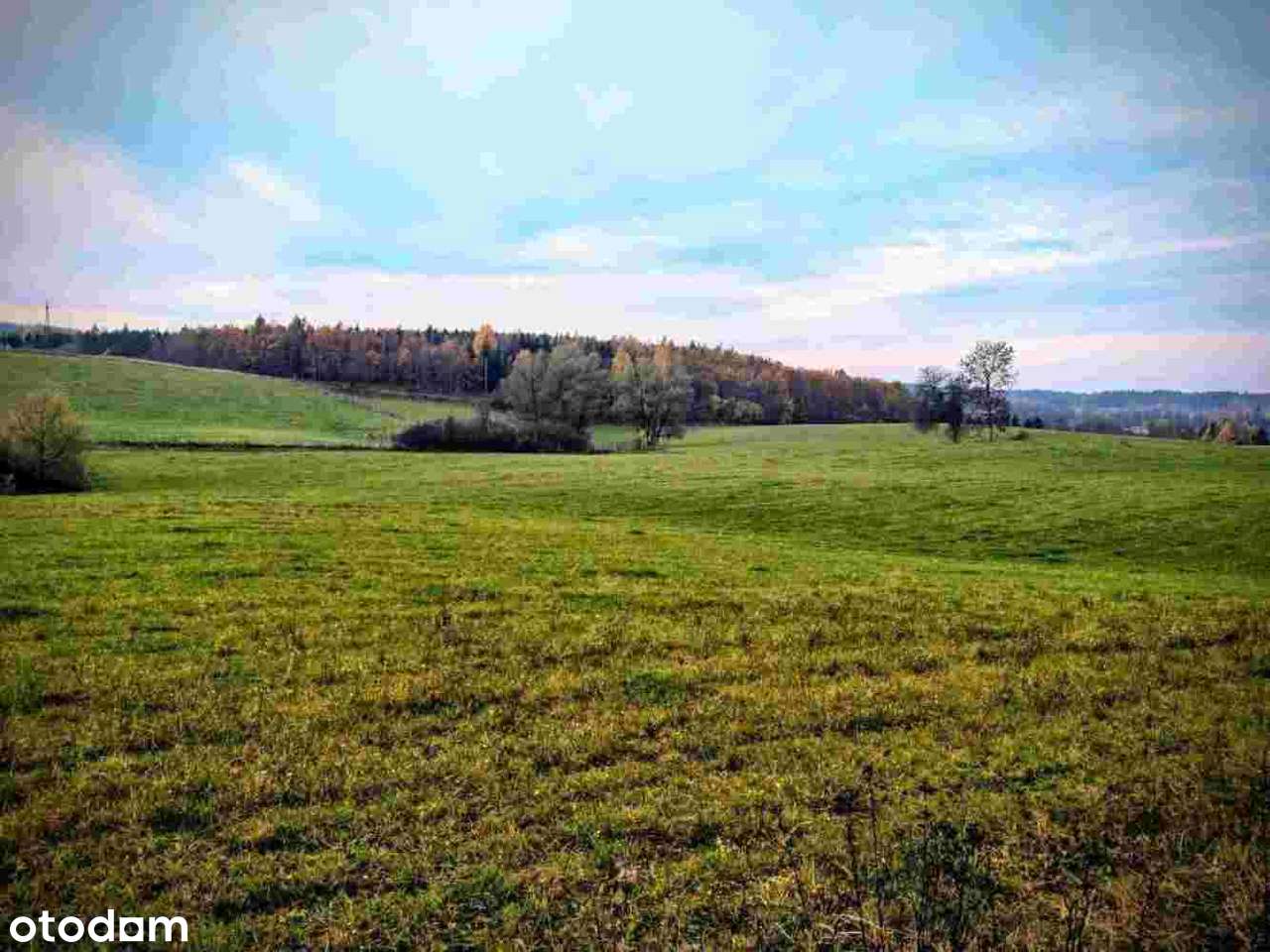 Grunt pod działki rekreacyjne. - Pełny obrazek: 5/8