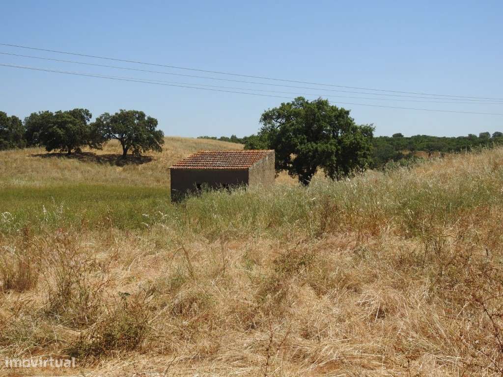 HERDADE (42,3 ha) - Grande imagem: 4/6
