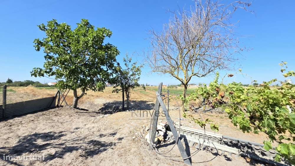 Quinta  com Moradia T6, Casa T2, Piscina Aquecida -  Salvaterra de Mag-19