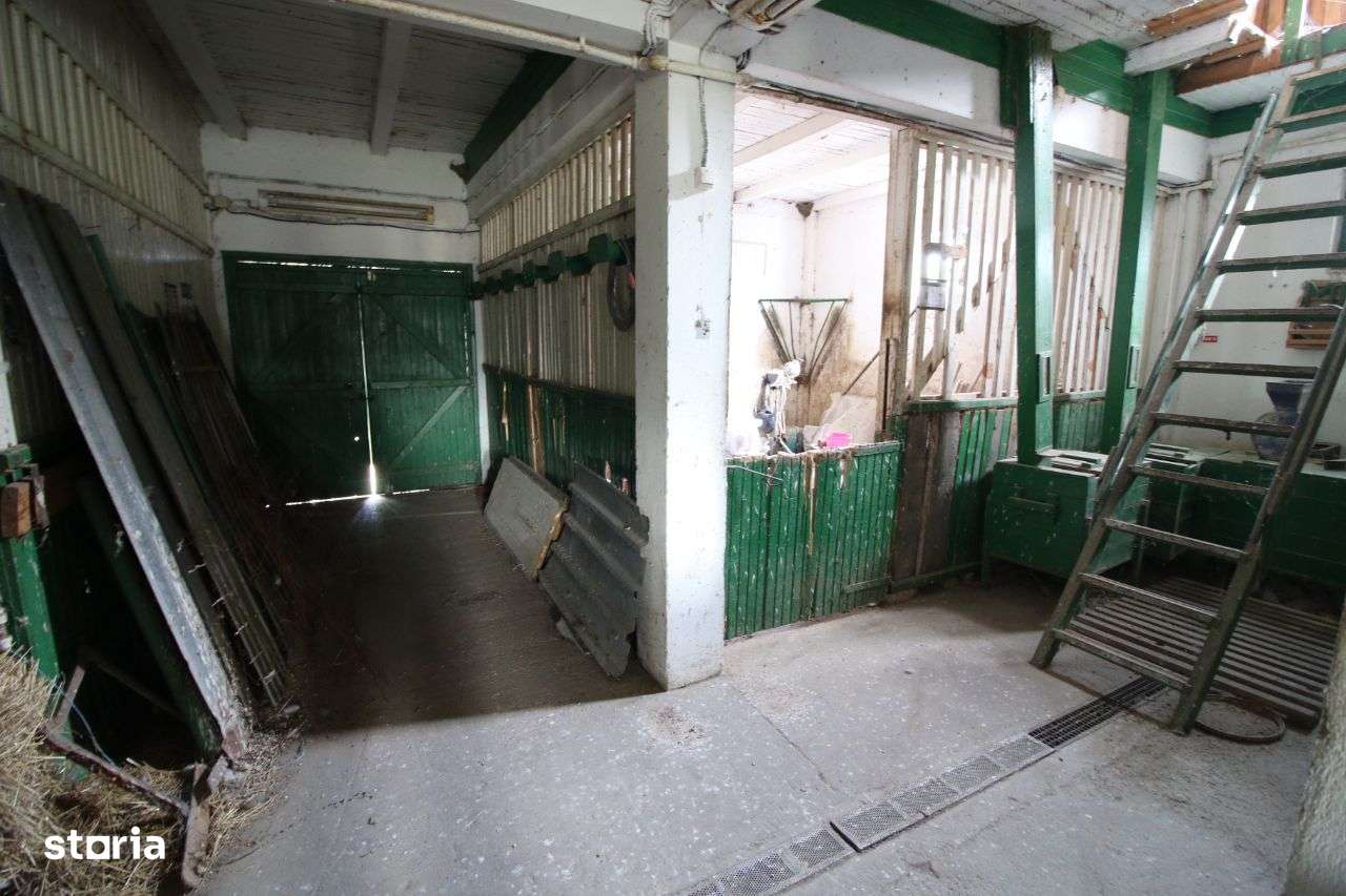 Vand ferma agricola jud. Galati -150.000 euro - Imagine principală: 2/8