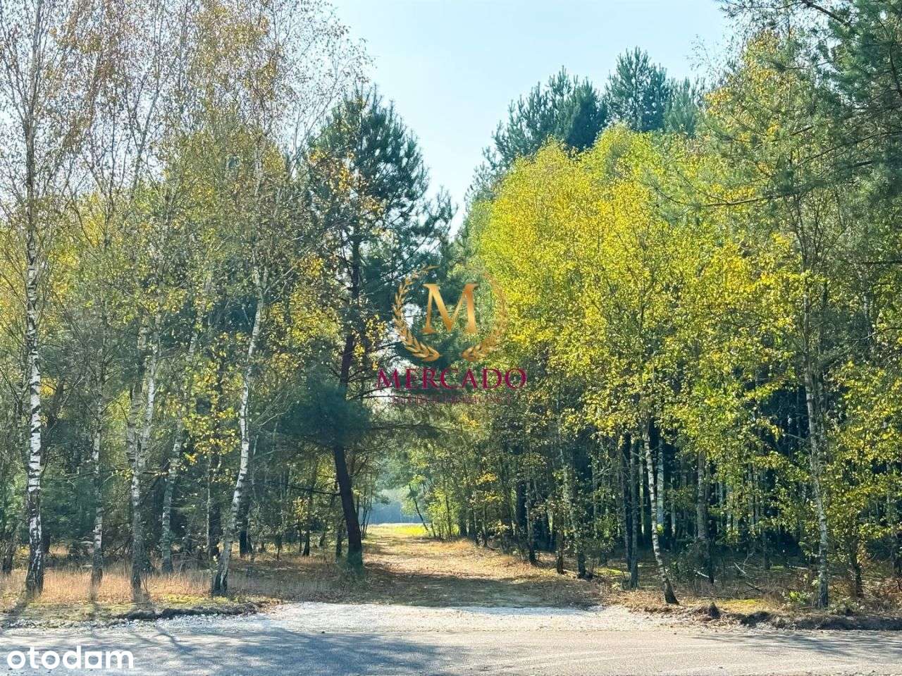 Wyjątkowa działka w okolicy lasów i jezior ! - Pełny obrazek: 5/10