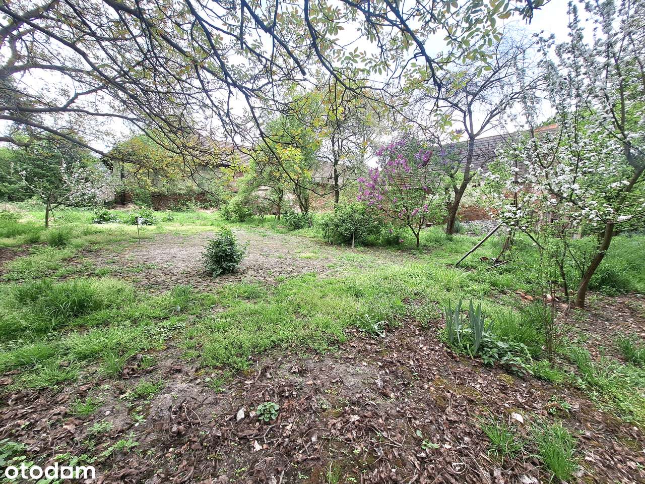 Dom z dużą działką obok Oławy.-11