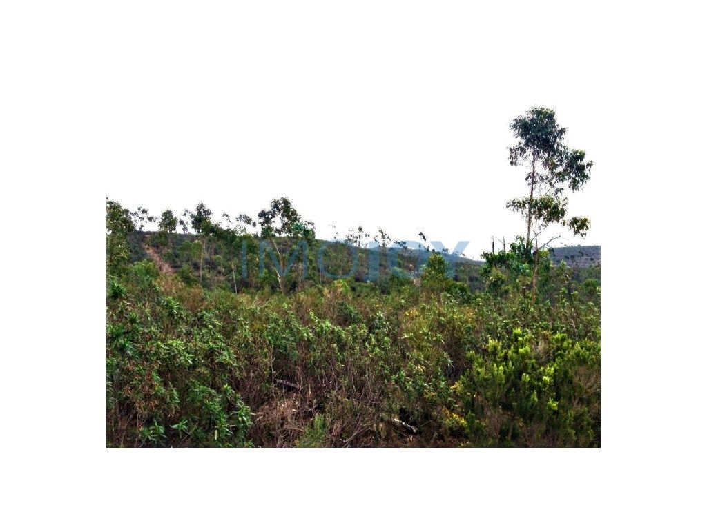 Terreno com 24ha em Mexilhoeira Grande, Portimão