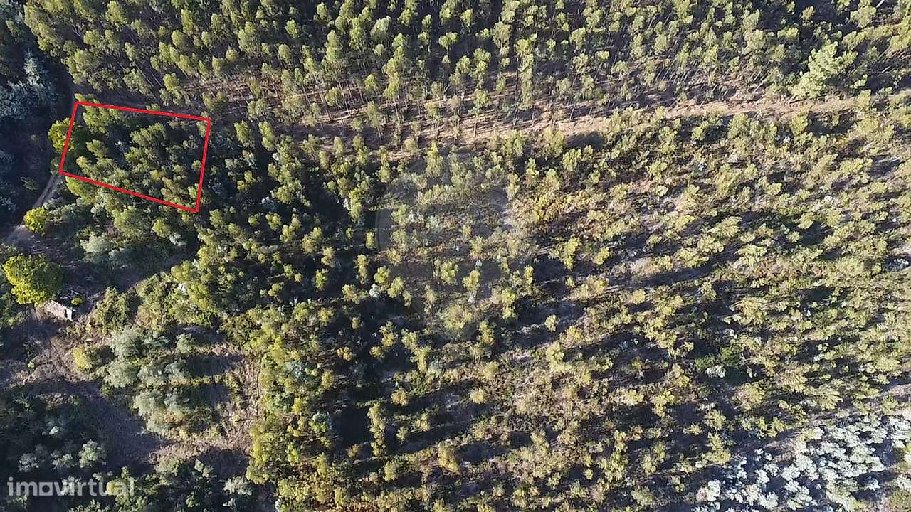 Terreno  para venda - Grande imagem: 5/6