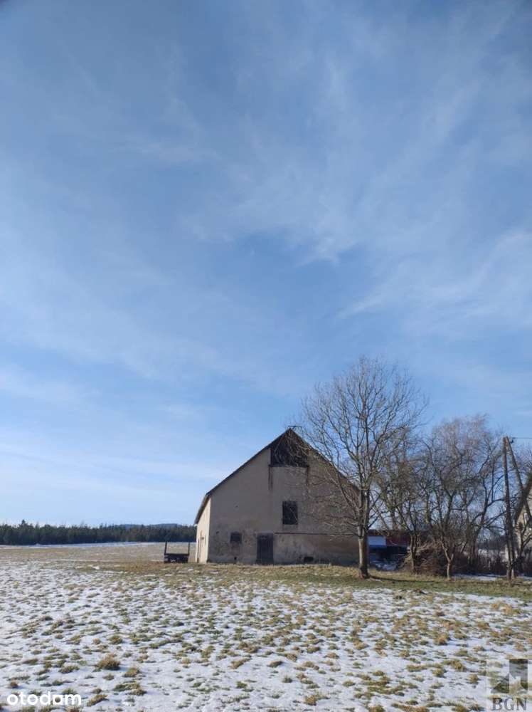 Działka 800 mkw + stodoła - Olszyny-Kamienna Góra - Pełny obrazek: 5/9