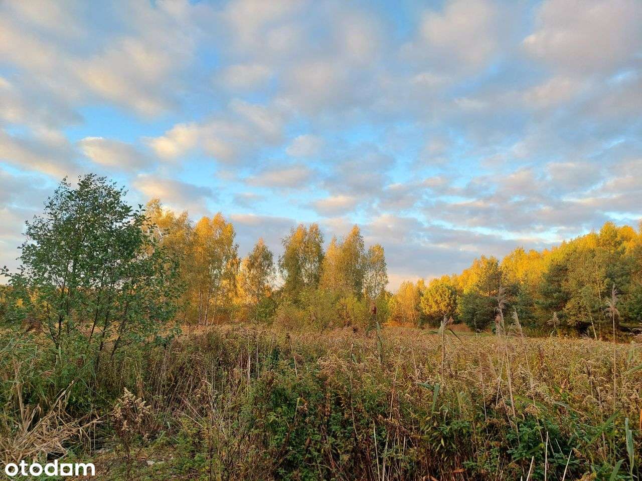 Piękna działka budowlana położona w Duchnowie-2