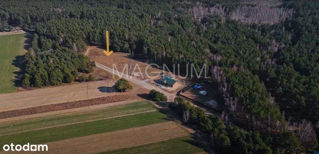 Piękna działka z lasem pod zabudowę jednorodzinną - Pełny obrazek: 5/9