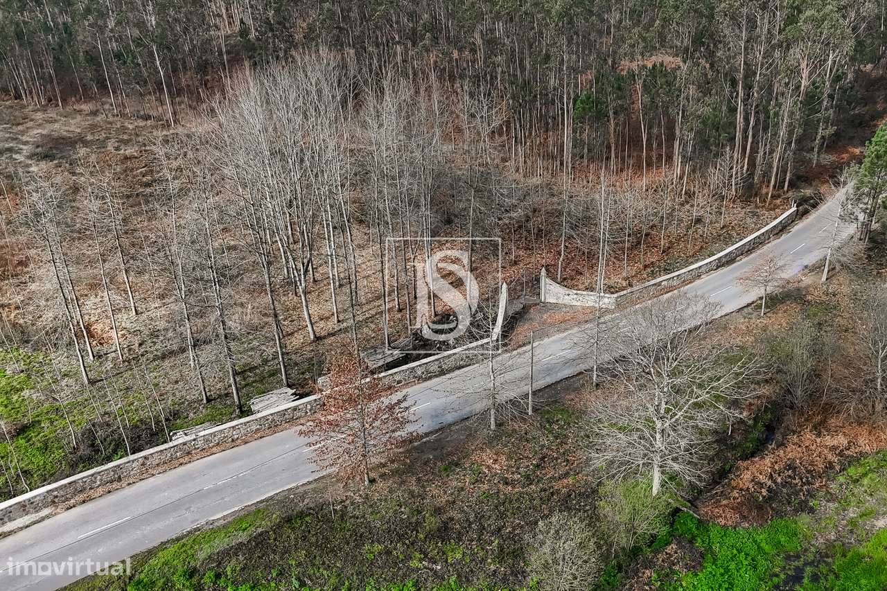 Terreno Rústico  Venda em Associação de freguesias do Vale do Neiva,Po-17