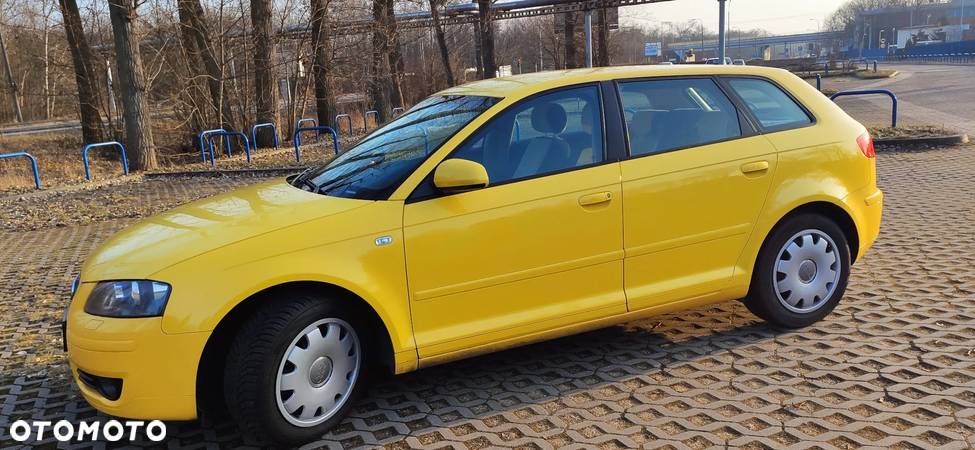 Audi A3 1.9 TDI Ambition - 7