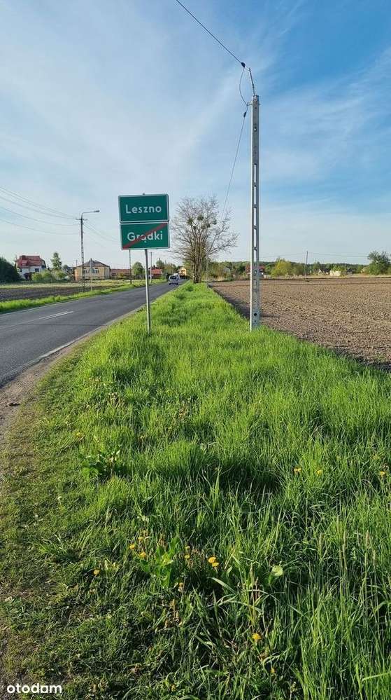 Dogodna lokalizacja, działki w Lesznie!-4