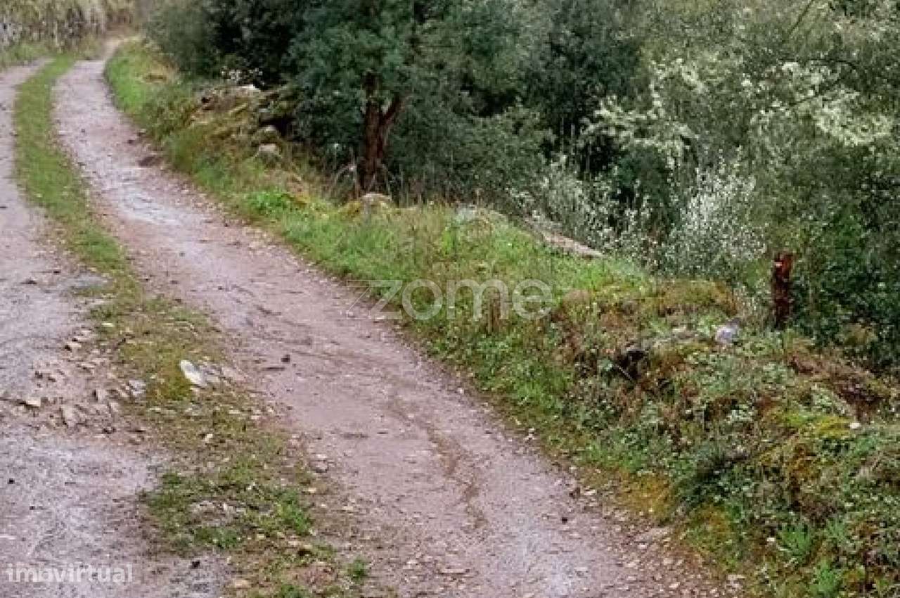 Terreno Urbanizável com Olivais| Riodades | São João da Pesqueira - Grande imagem: 2/30