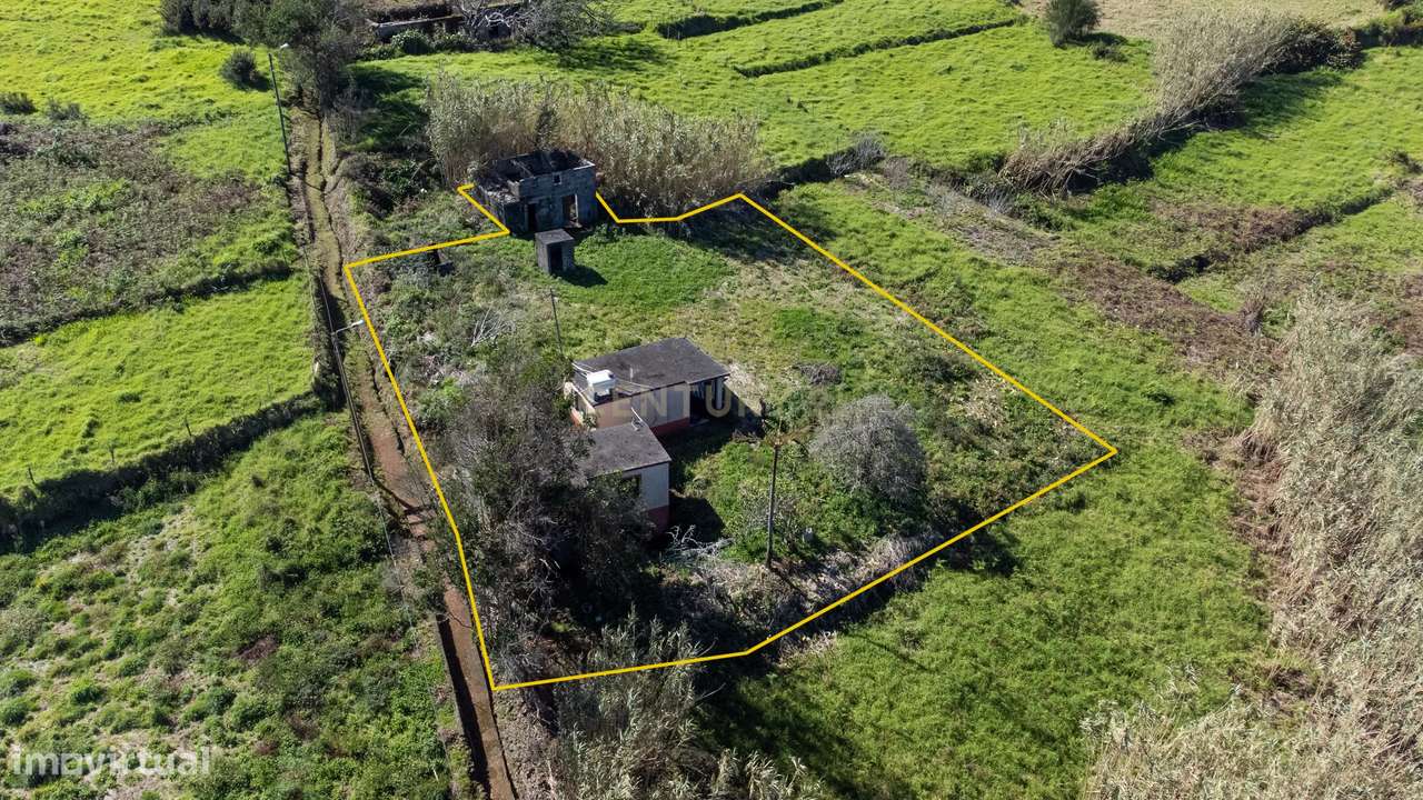 Moradia Independente no Pico Alto - Porto Moniz - Grande imagem: 3/21