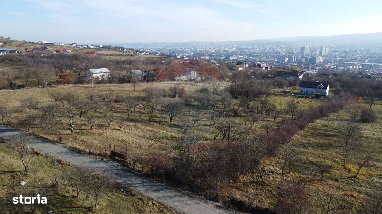 Teren 20.146 mp Dâmbu Rotund (Lomb).Extravilan.Potențial rezidențial - Imagine principală: 4/20