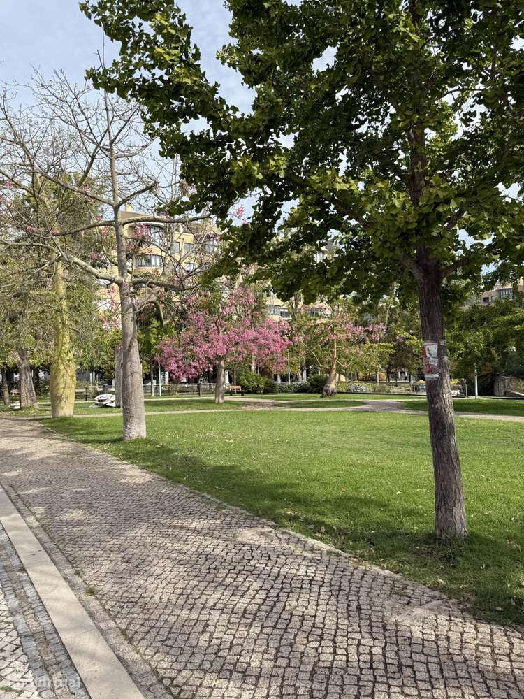 Moradia Bi-familiar, piso térreo, Telheiras, Lisboa - Grande imagem: 3/36