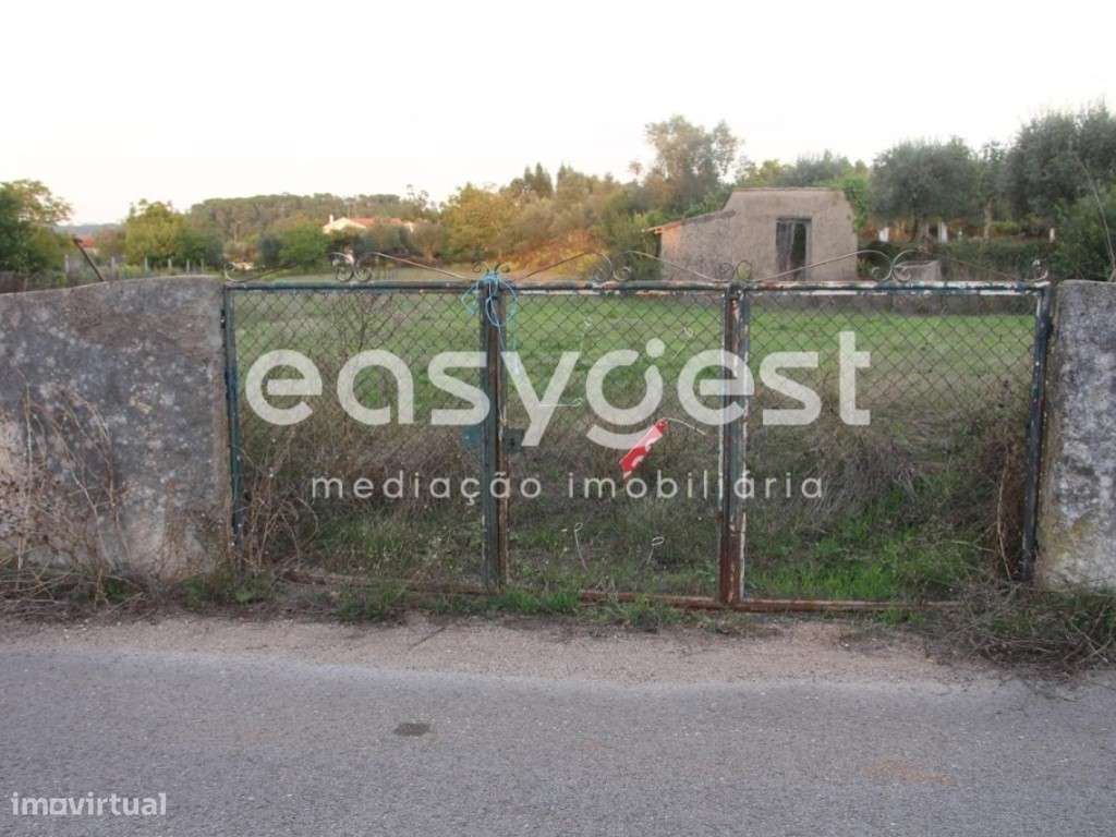 Terreno para construção,com 3686 m2 em Orelhudo-Cernache. - Grande imagem: 3/10