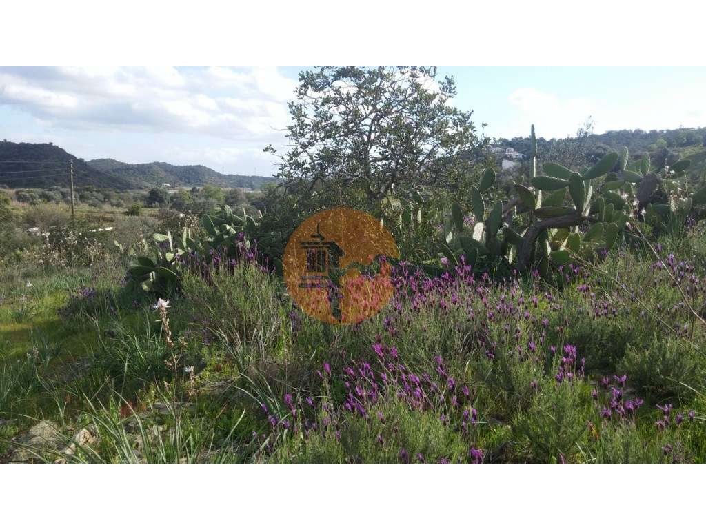 Terreno Rústico em Alcoutim - Grande imagem: 5/17