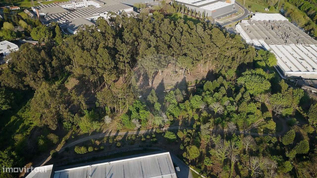 TERRENO COM 28.000M2  PARA CONSTRUÇÃO INDUSTRIAL EM RONFE-4