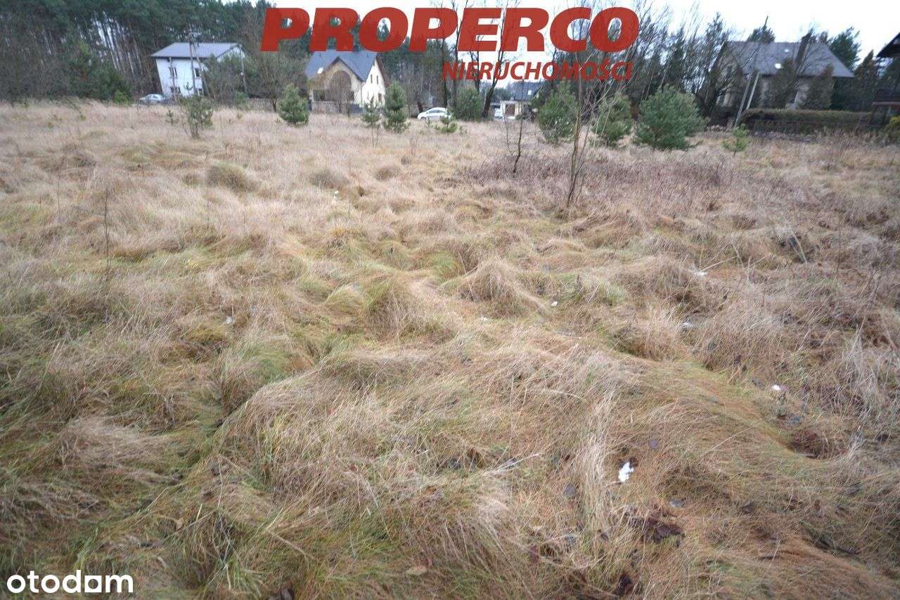 Działka 3413m2, Danków-Wójtostwo, Daleszyce - Pełny obrazek: 5/5