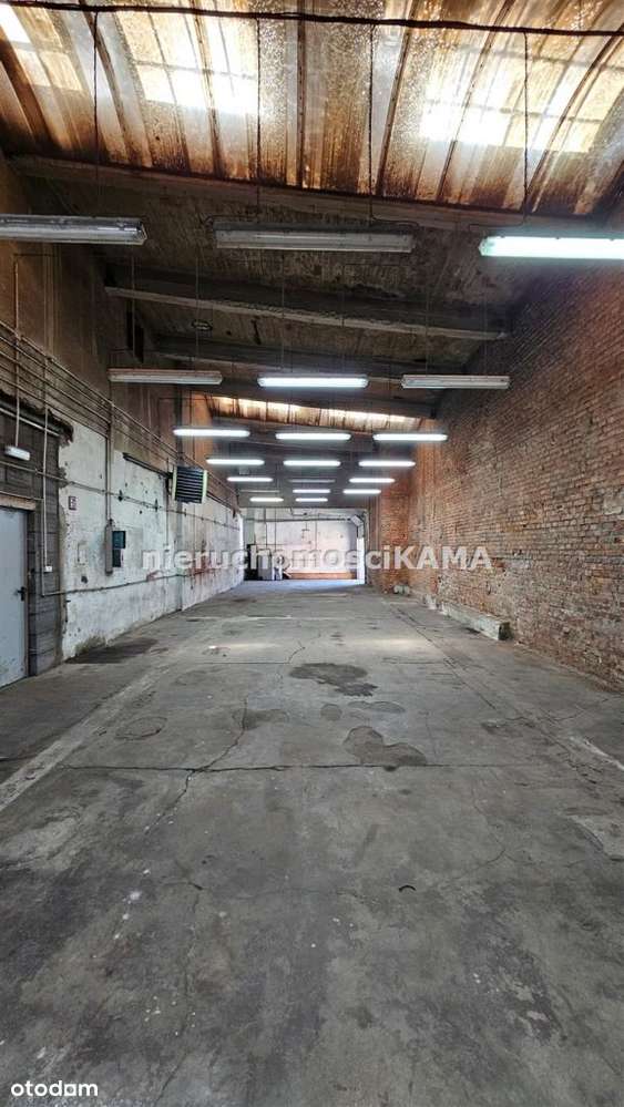 Hala/Magazyn, 454,68 m², Bielsko-Biała - Pełny obrazek: 3/16