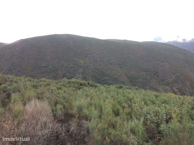 Terreno 15 hectare entre Douro e Sabor - Torre de Moncorvo - Grande imagem: 4/7