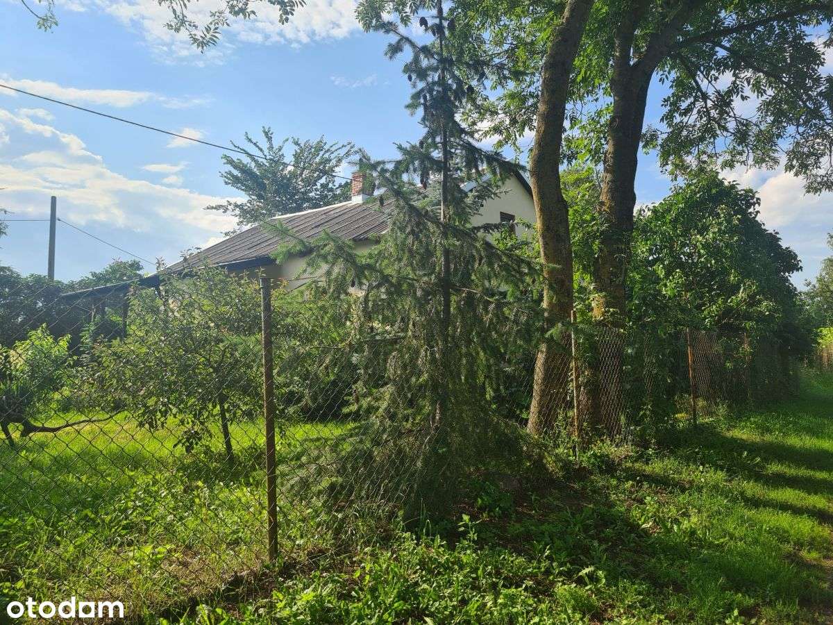 Dom 84m2 Czarzaste Błotki działka 6850m2-2