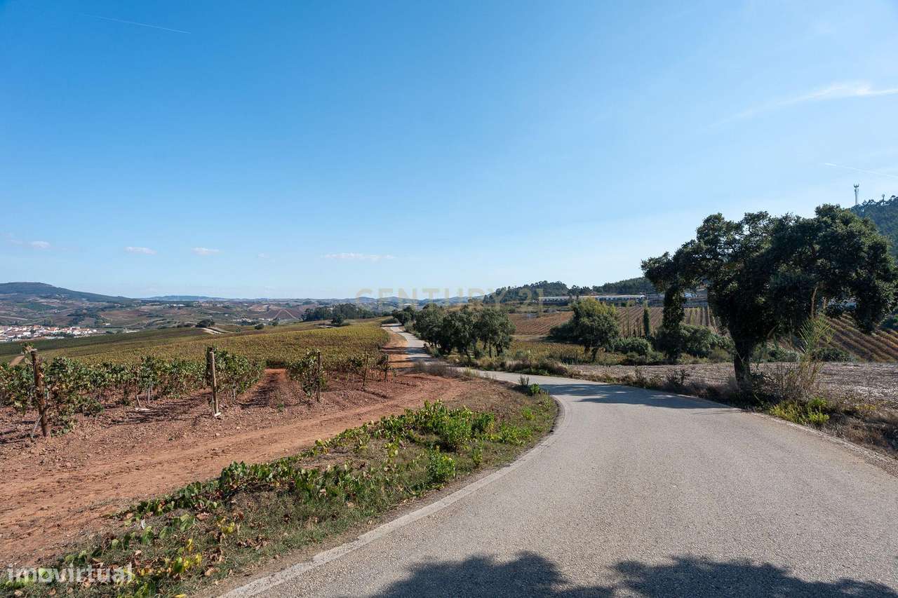 TERRENO  à VENDA em ABOBOREIRA, Azueira - Grande imagem: 5/41