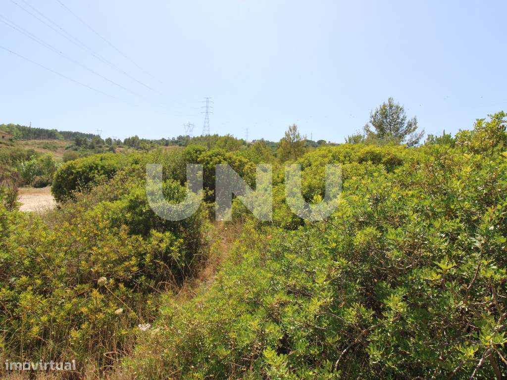 Terreno Rústico em Vila Franca de Xira! - Grande imagem: 4/7