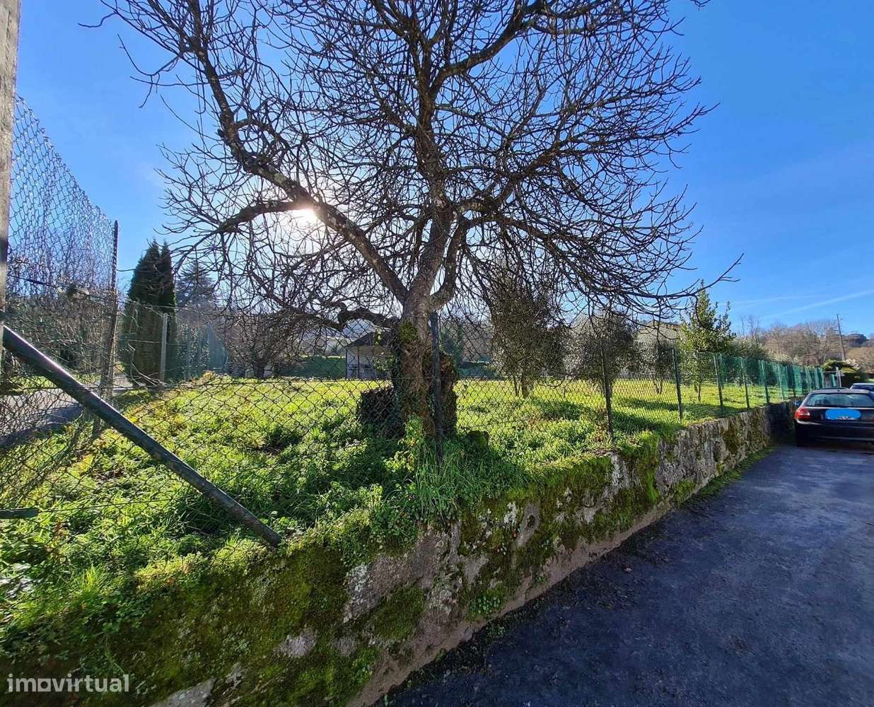 Terreno S. Salvador - Grande imagem: 4/9