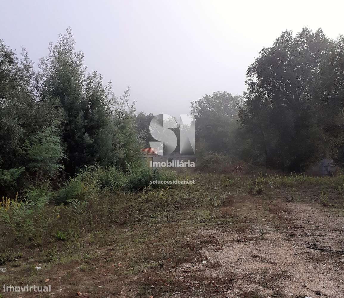 Terreno Freixo Lousã - Grande imagem: 2/12