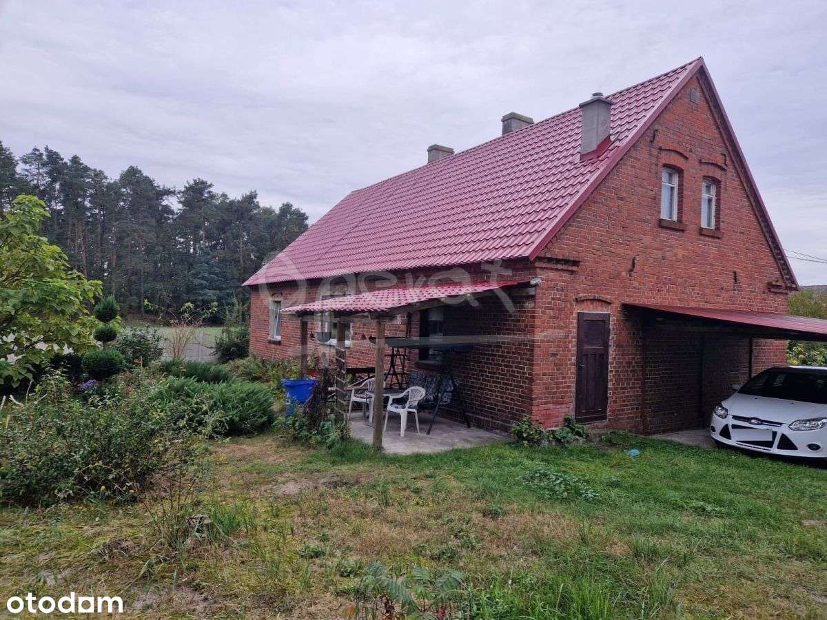 Dom wolnostojący przy lesie - Pełny obrazek: 5/13