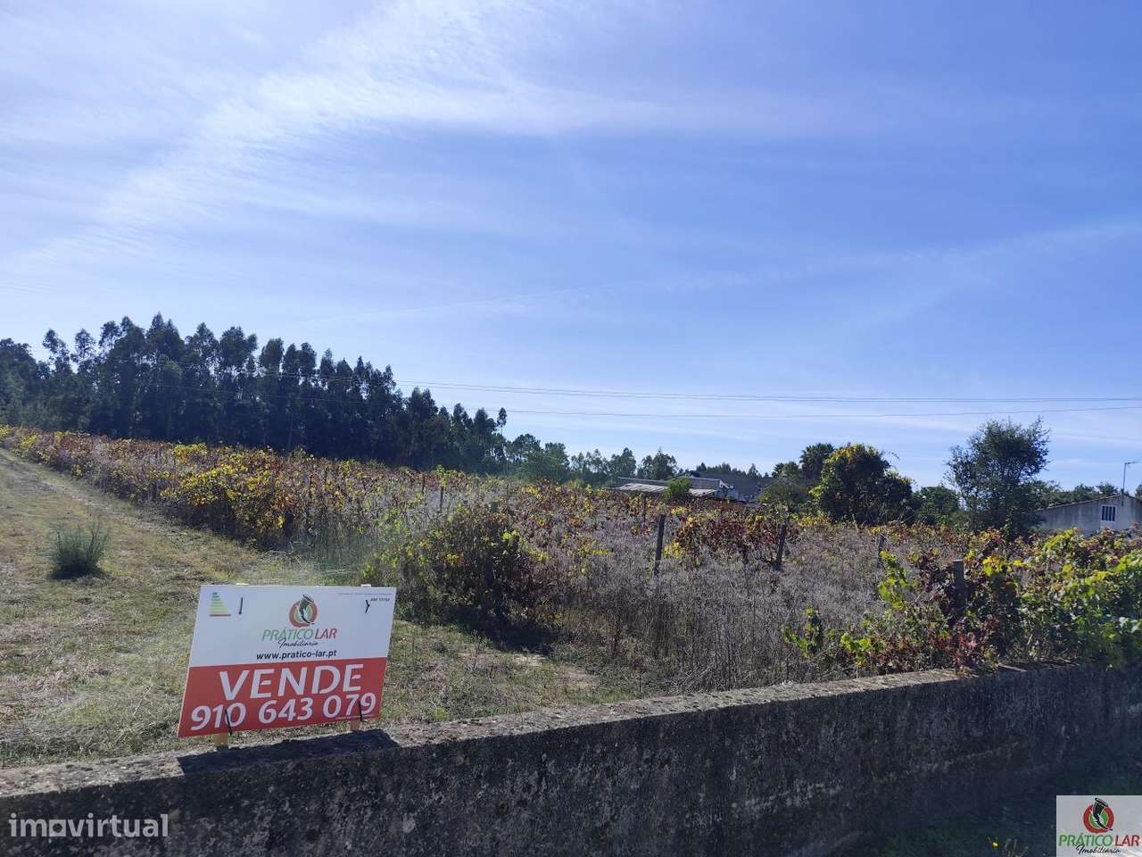 Terreno com viabilidade de construção-6