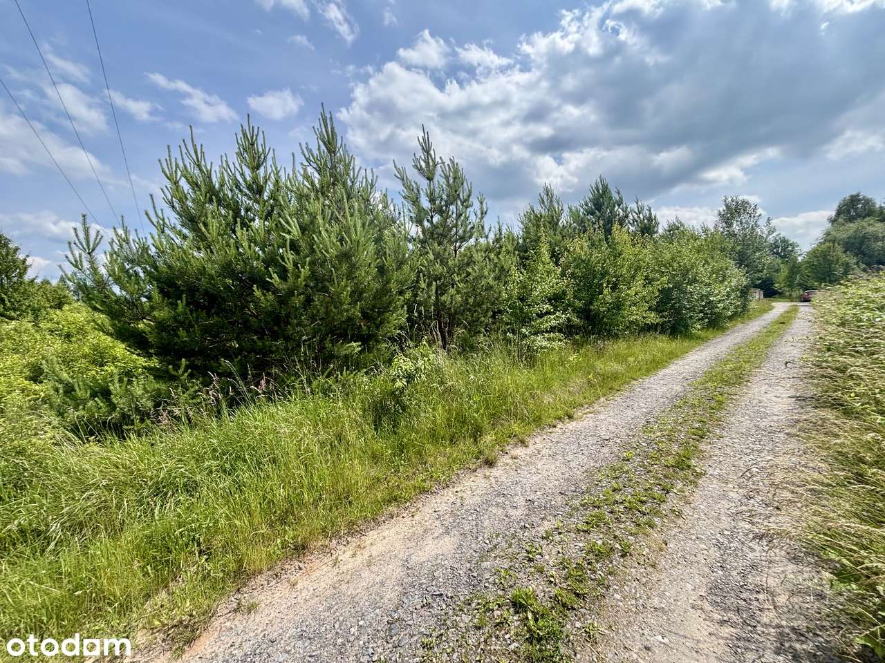 Działka budowlana 2200 m2- CIOSOWA, gm. Miedziana Góra - Pełny obrazek: 4/8