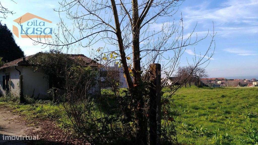 Terreno Francelos com PIP Aprovado para construção em Altura - Grande imagem: 4/7