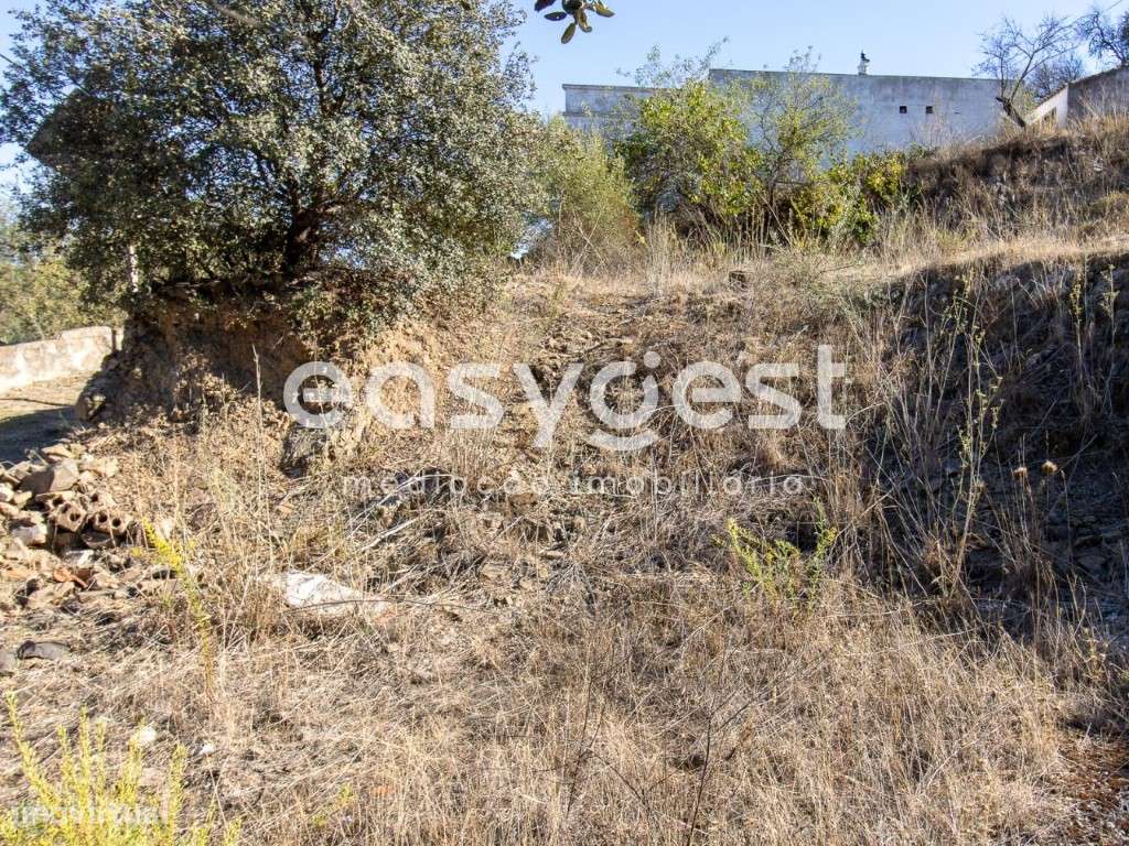Terreno Rústico com parecer favorável de construção-Guerreiros do Rio - Grande imagem: 4/26
