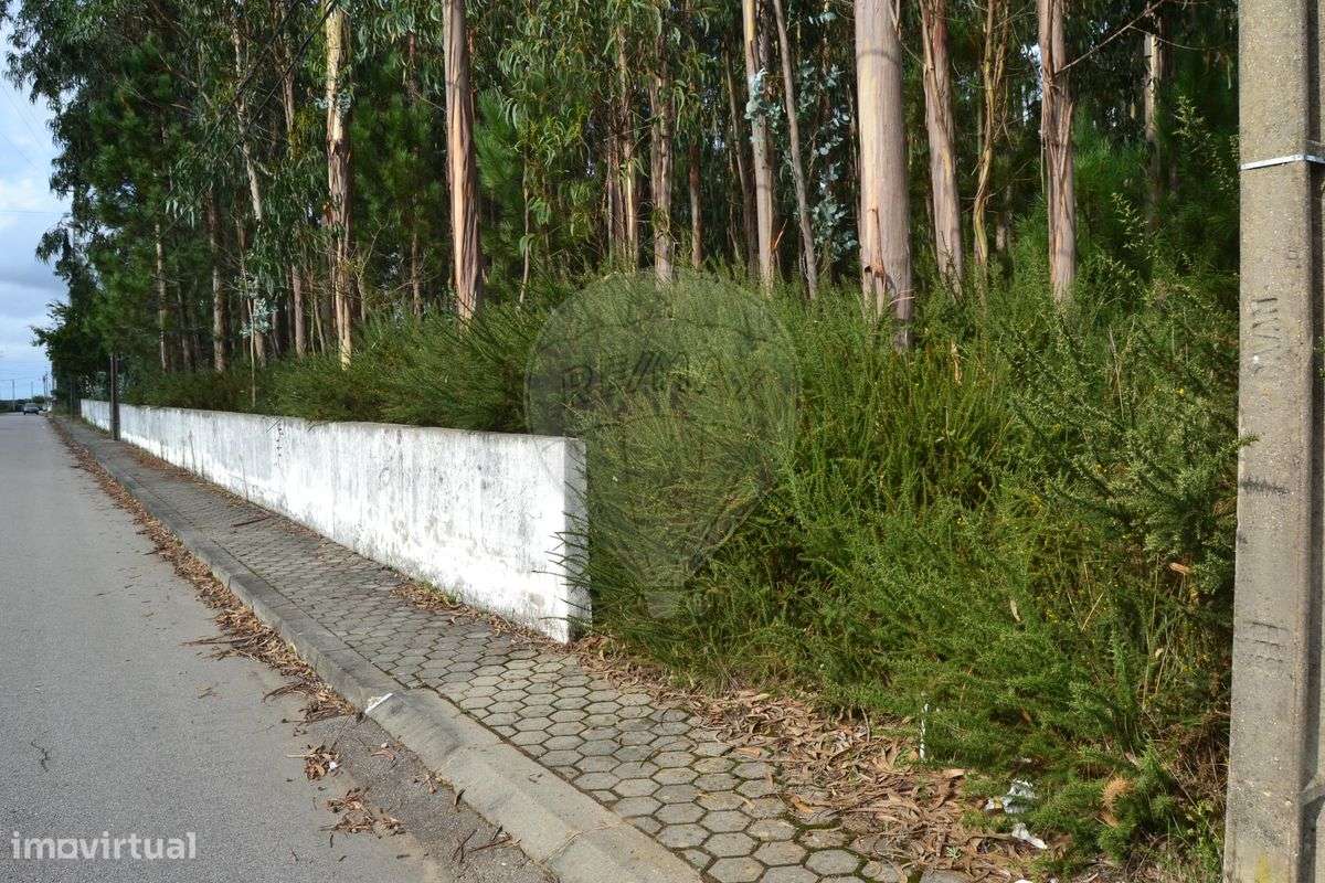 Terreno  para venda - Grande imagem: 3/6