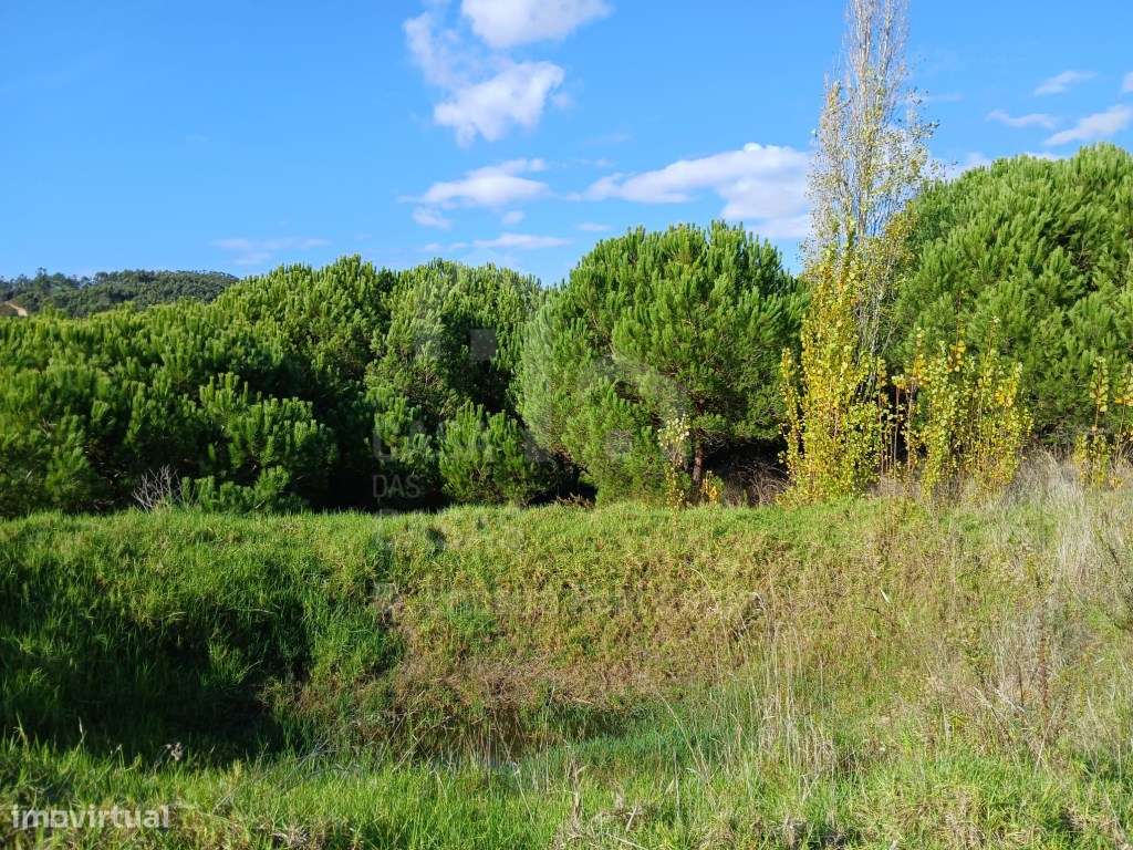 Vende Terreno - Ericeira a 6 km, A Casa das Casas - Grande imagem: 5/18
