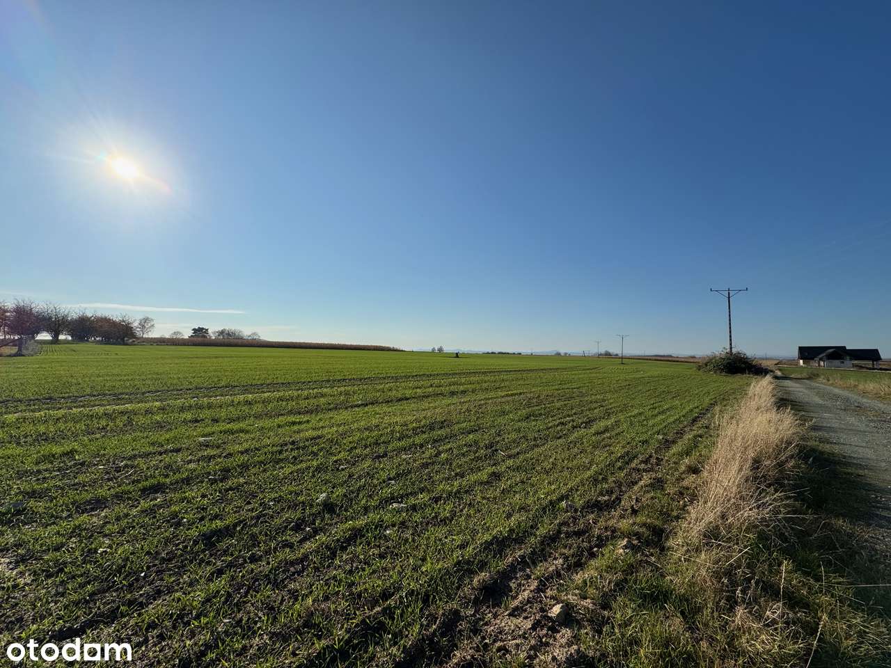 5X Działki budowlane u podnóża Ślęży – Sady k. Sobótki! | Piękny widok-9