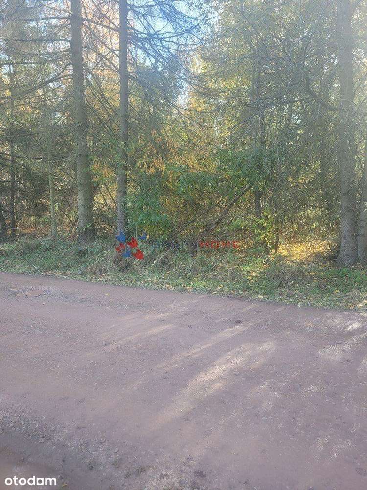 Działka, 1 800 m², Magdalenka - Pełny obrazek: 4/6